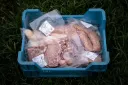 Varkensvlees gemengd pakket